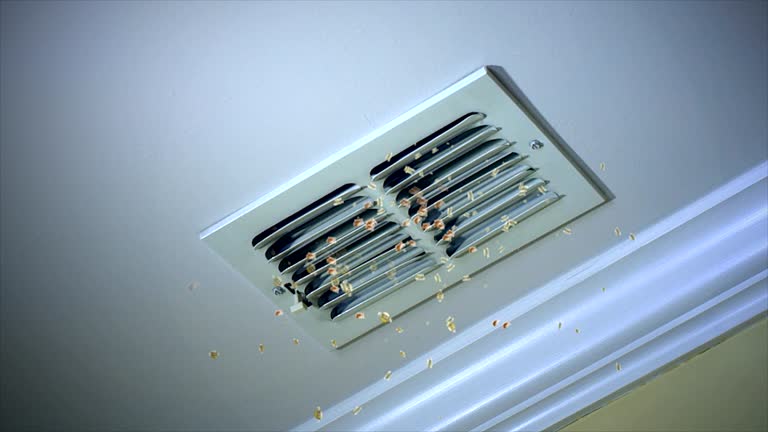 Best Ventilation Cleaning Services  in Saint Davids, PA